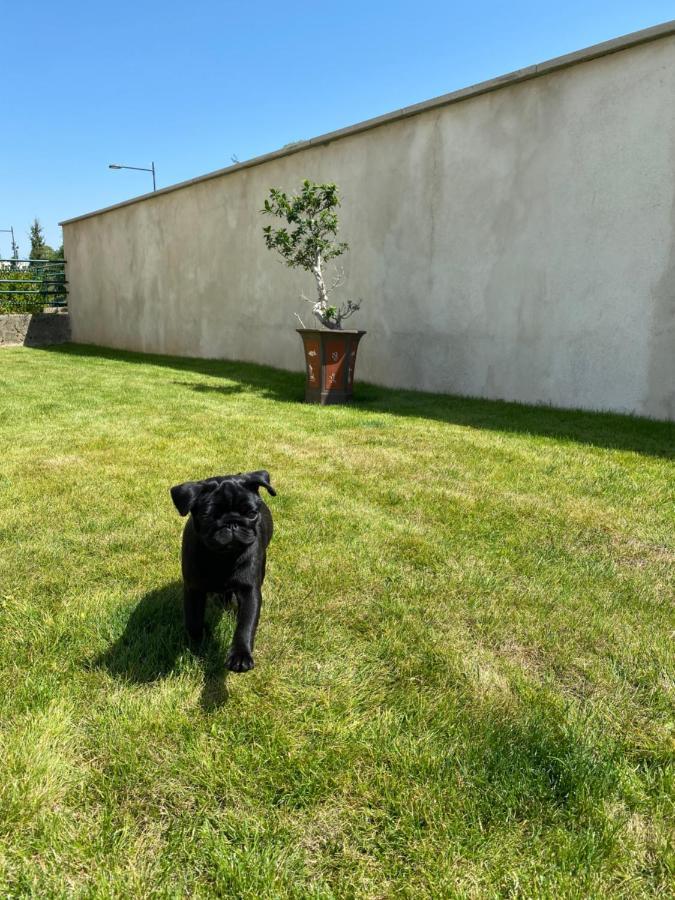 Olga Chambre D'Hote Verdun-sur-Meuse Exterior foto